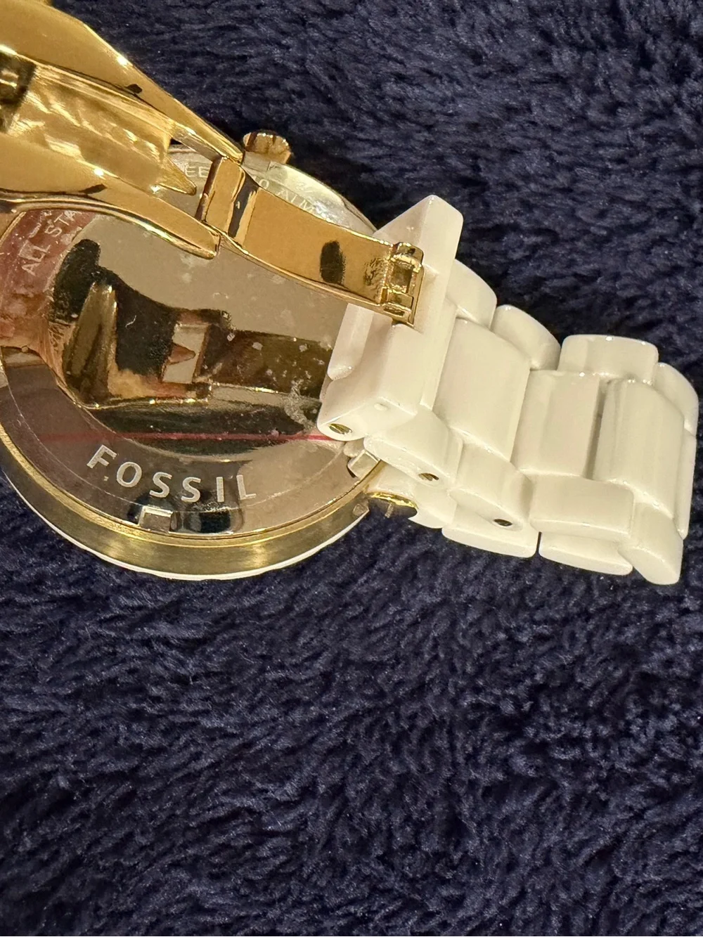Fossil elegant cream